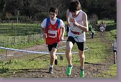 Begles 15.12.13 01 628 * 679 x 453 * (181KB)